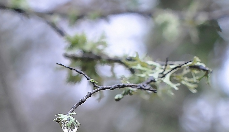 В Великий четверг калужан ждет дождливая и холодная погода