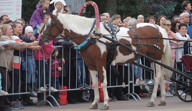 Старейшие начинают и выигрывают