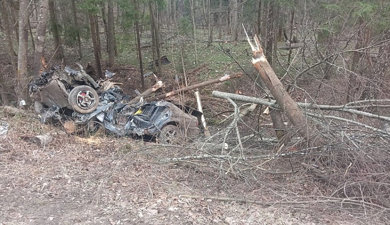 В Калужской области водитель иномарки съехал в кювет и погиб 