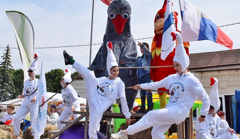 В Тарусе прошёл XV юбилейный фестиваль «Петухи и гуси в городе Тарусе»