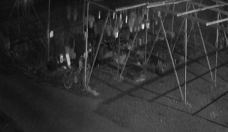 Москвичка украла саженцы в Калужской области