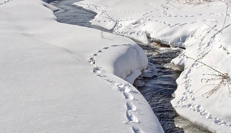 В Калужской области начался зимний учет животных