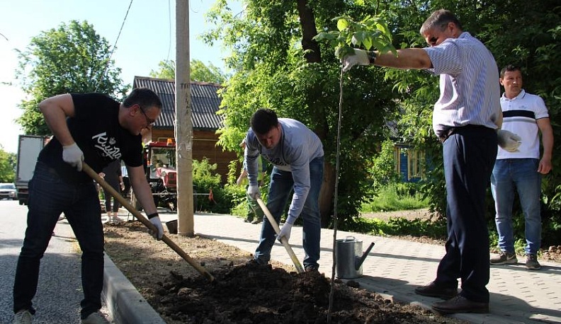 В Калуге на улице Декабристов высадили деревья