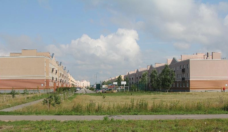 Микрорайон Кошелев могут разукрасить муралами