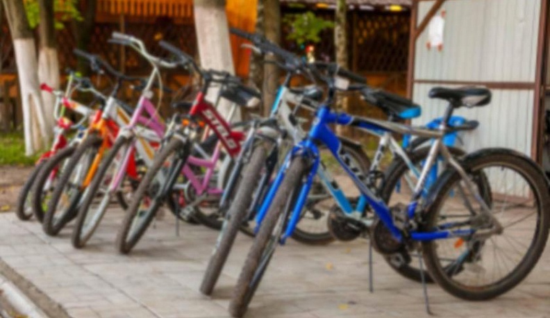 В Обнинске поймали двух веловоров