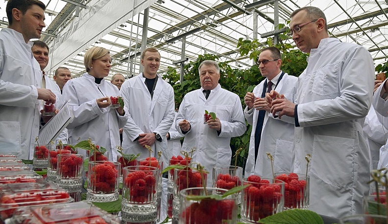 Ягода-малина в Обнинск нас манила