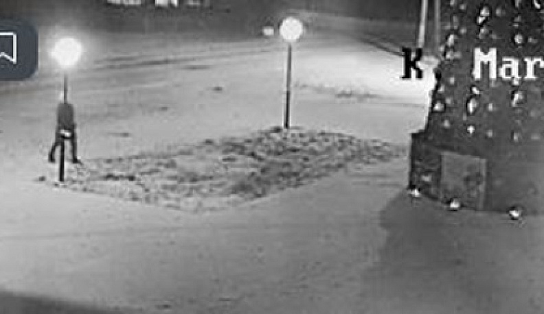 Кировские похитители елочных игрушек попались на камеру