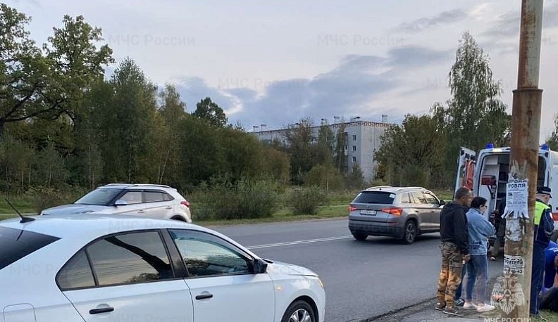 В Калуге «Шкода» сбила пешехода