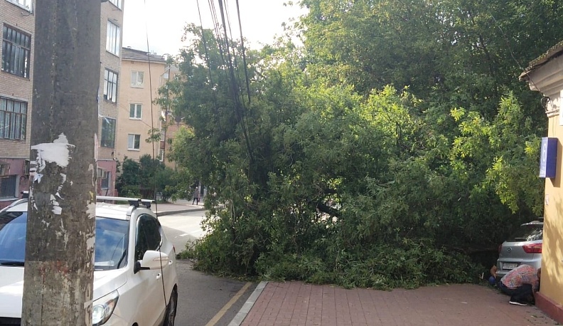 В Калуге ночная стихия повалила дерево