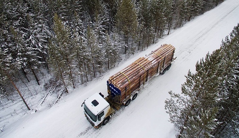 Поправки «Единой России» в Лесной кодекс сделают сферу оборота древесины более прозрачной