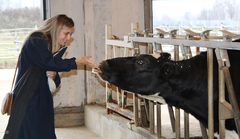 Роботизированная ферма в Малоярославецком районе приняла иностранных гостей