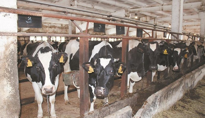 С новым веком!