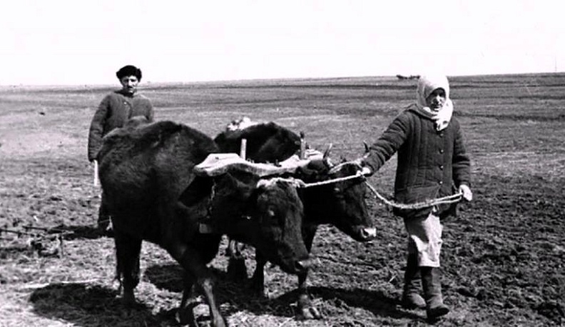 А годы уходят, уходят…