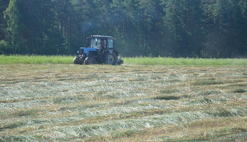 Время золотое – сенокосная пора
