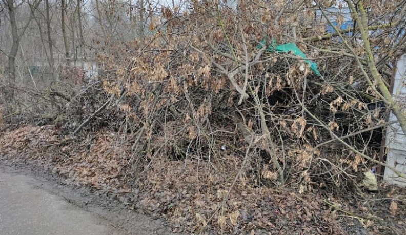 В Калуге и области вывезли мусор после жалоб в соцсетях