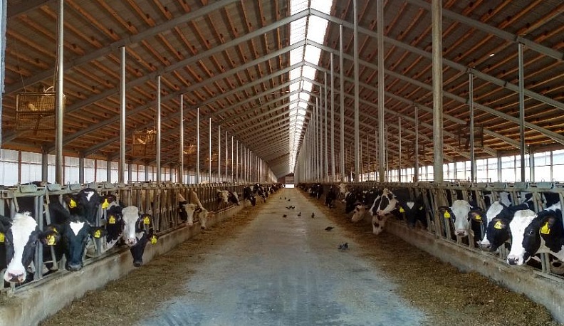 Медынские школьники побывали на районных сельскохозяйственных предприятиях