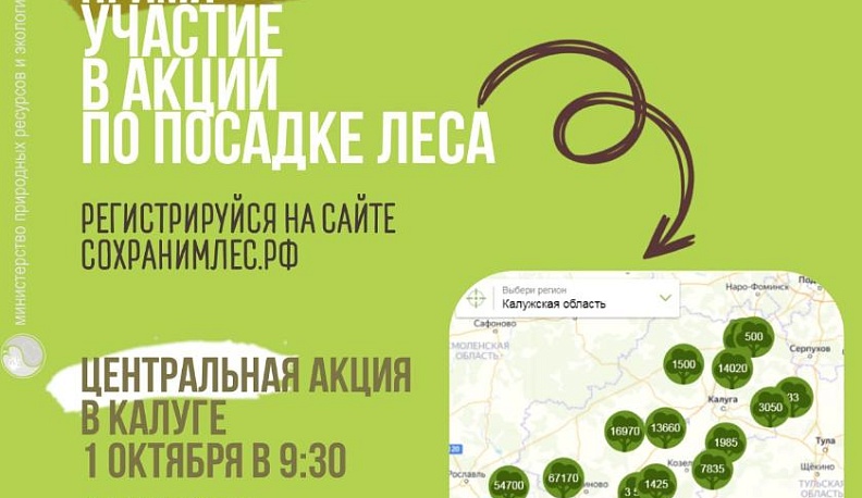 В Калужской области осенью посадят полмиллиона деревьев