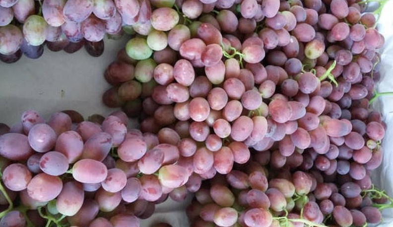 В Калуге подорожали виноград и сладкий перец
