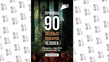 В лесах Калужской области установили класс высокой пожарной опасности