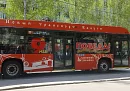 В Калуге к 9 Мая украсили троллейбусы и автобусы 