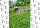 В Обнинске по просьбе жительницы с детской площадки убрали рухнувшее дерево В Обнинске по просьбе жительницы с детской площадки убрали рухнувшее дерево