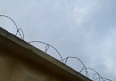 В Калужской области за четыре месяца изъяли более 220 килограммов наркотиков В Калужской области за четыре месяца изъяли более 220 килограммов наркотиков